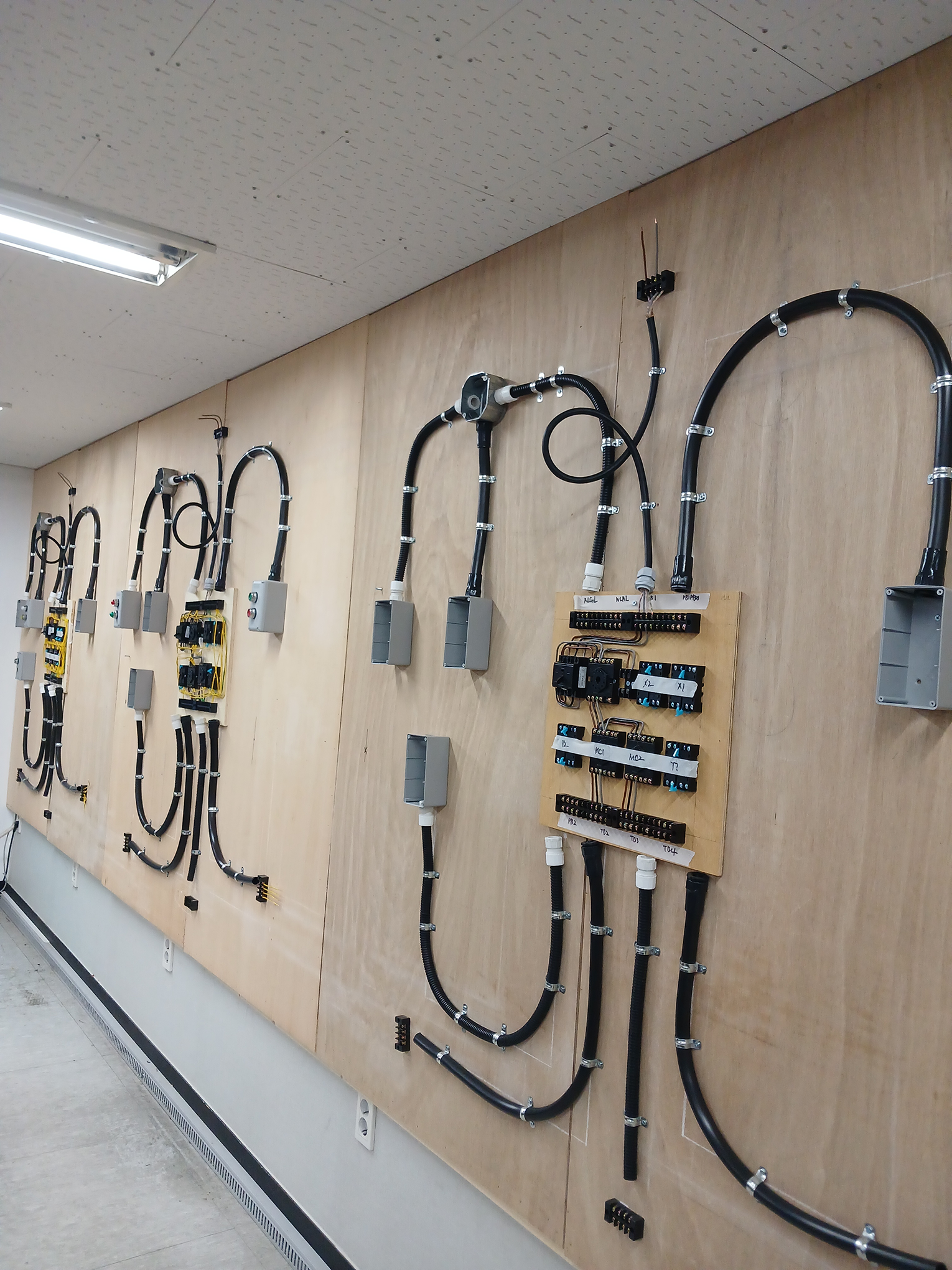 사용자 등록이미지